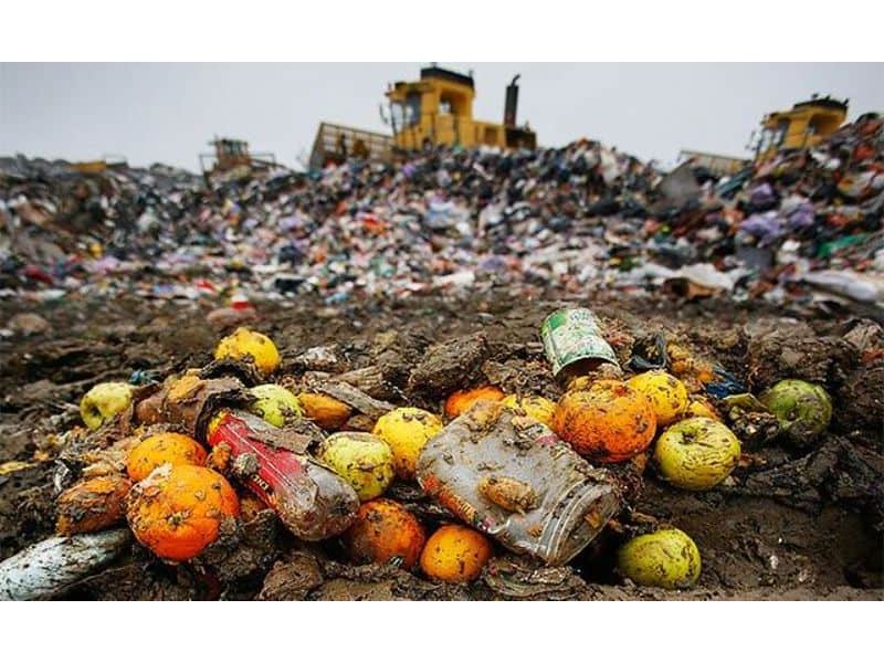criză globală a deșeurilor alimentare - aproape jumătate din producția mondială de mâncare rămâne neconsumată