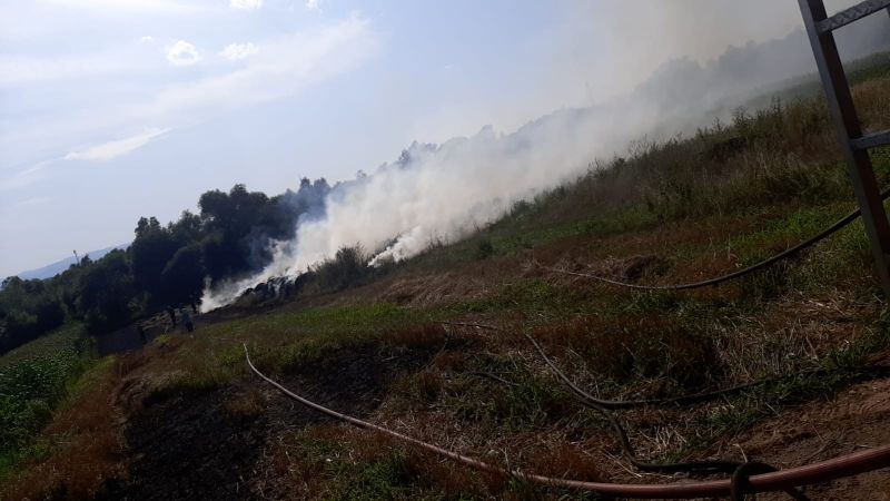 incendiu de vegetație la mohu - intervin pompierii
