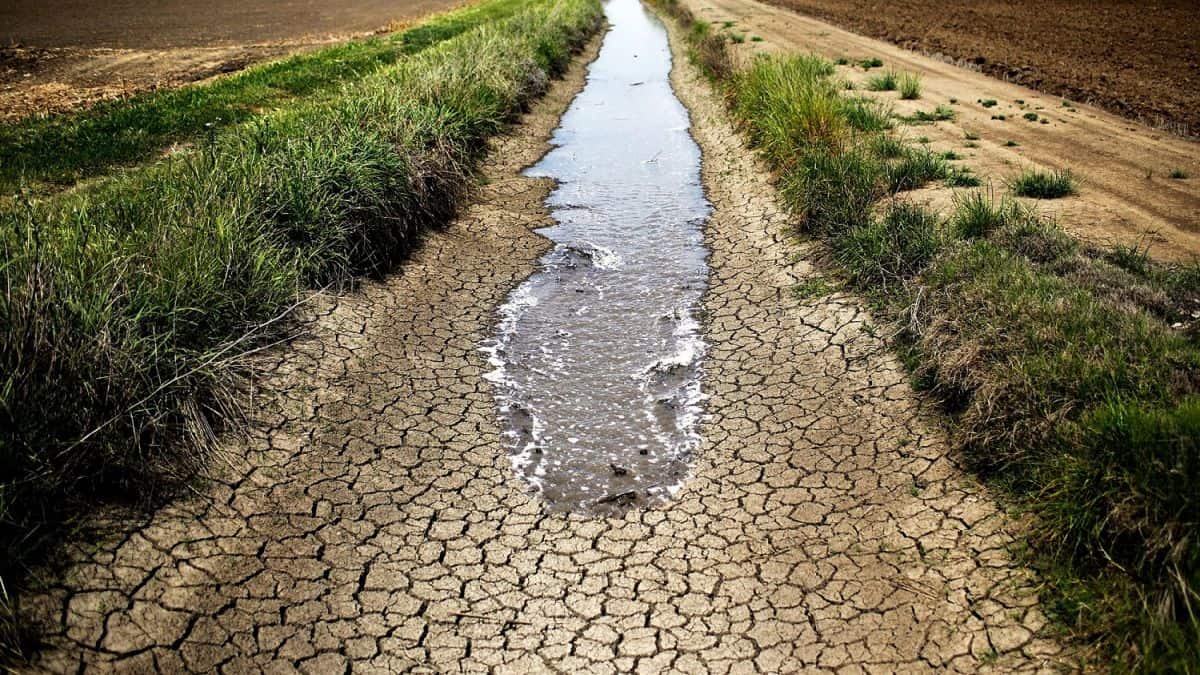 seceta pune stăpânire pe planetă - tot mai multe regiuni rămân fără apă
