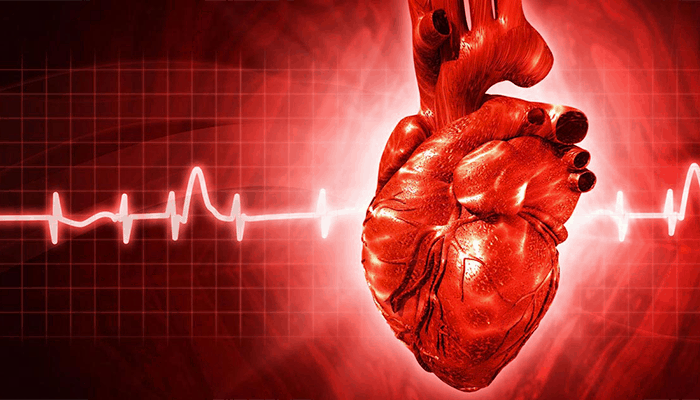 inima unui ardelean a salvat viaţa unui italian - organul a călătorit 1.400 de kilometri