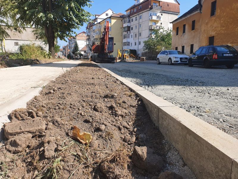 video foto - lucrările din terezian - locatarii nemulțumiți de înjumătățirea locurilor de parcare și tăierea copacilor