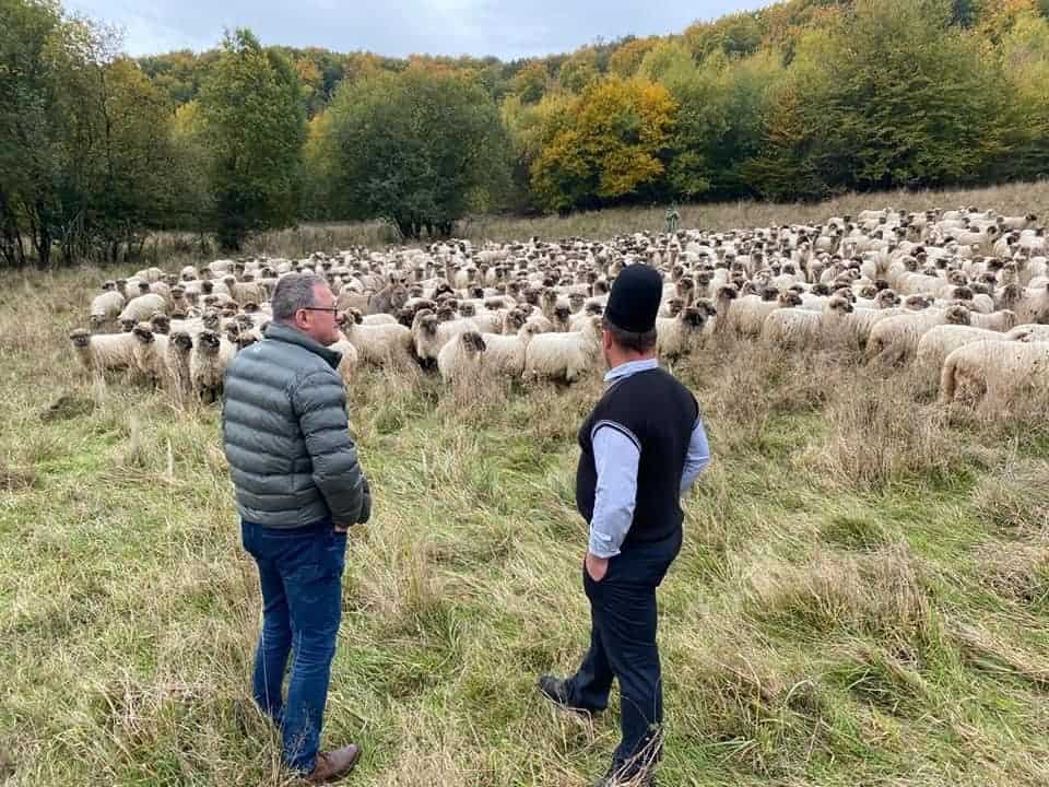 foto vizită neașteptată - ministrului agriculturii a mers la stâna cunoscutului ghiță ciobanul