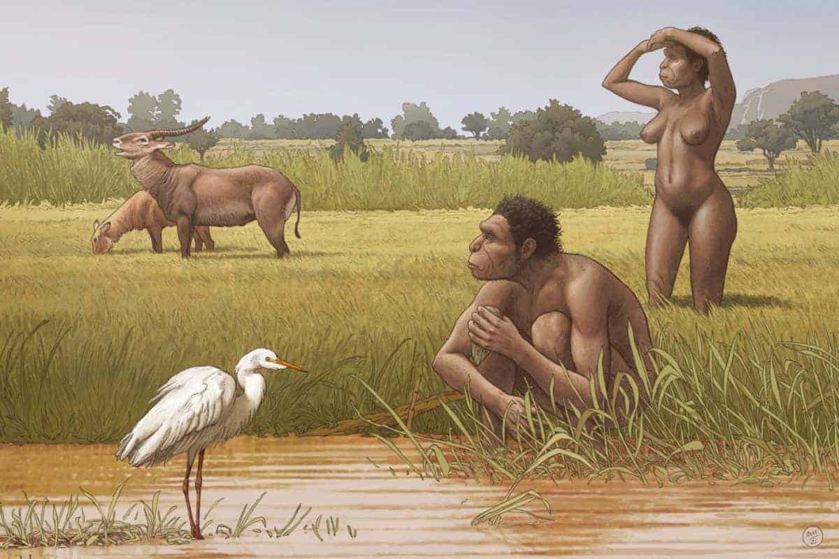s-a descoperit o specie umană care a trăit în urmă cu 500.000 de ani