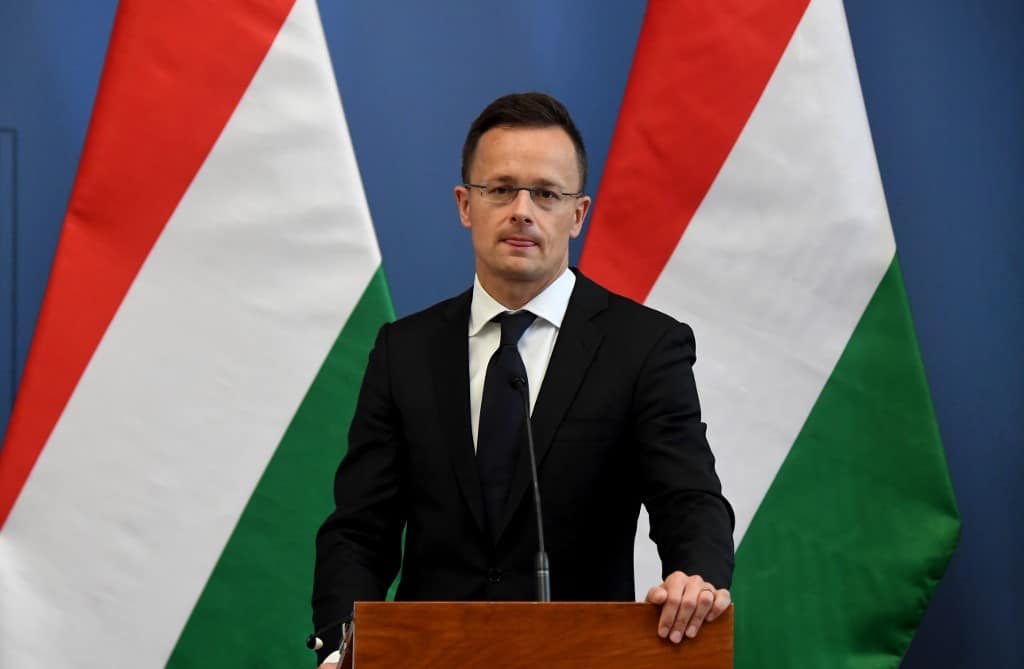 ungaria sare în ajutorul româniei pentru tratarea pacienţilor covid-19
