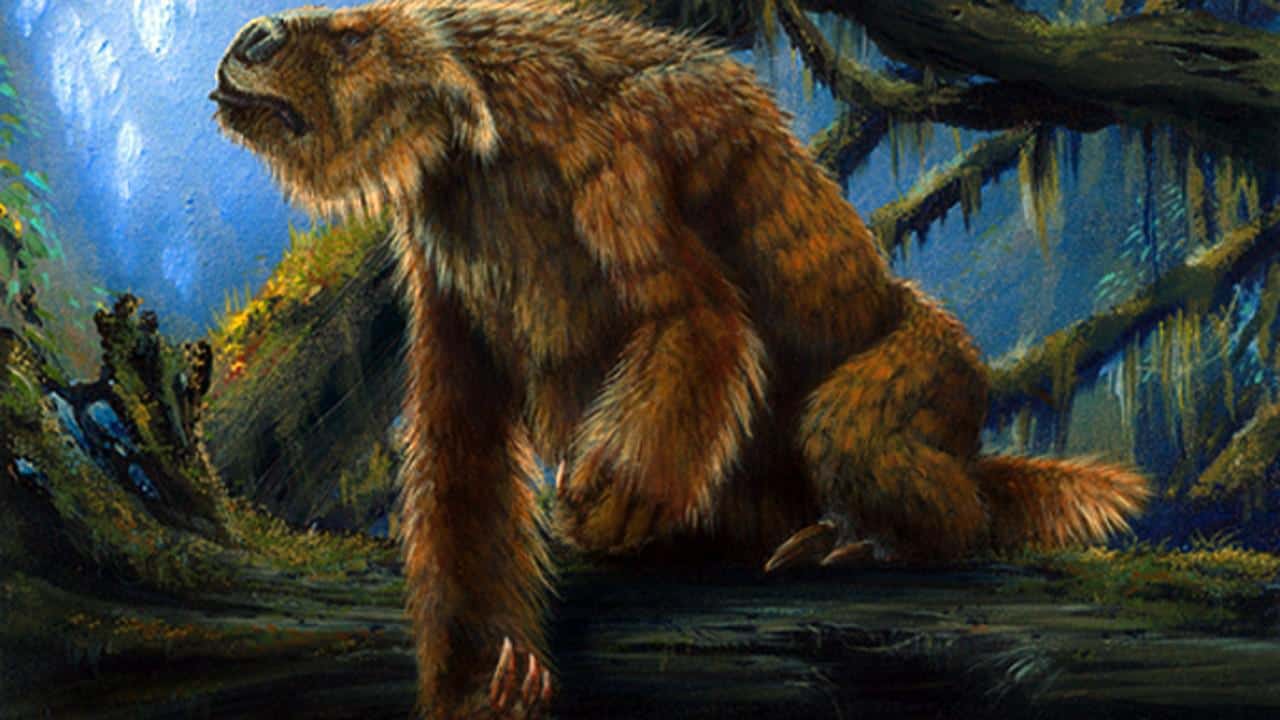 au fost descoperite fosilele unui exemplar de leneș gigantic dispărut cu 12.000 de ani în urmă