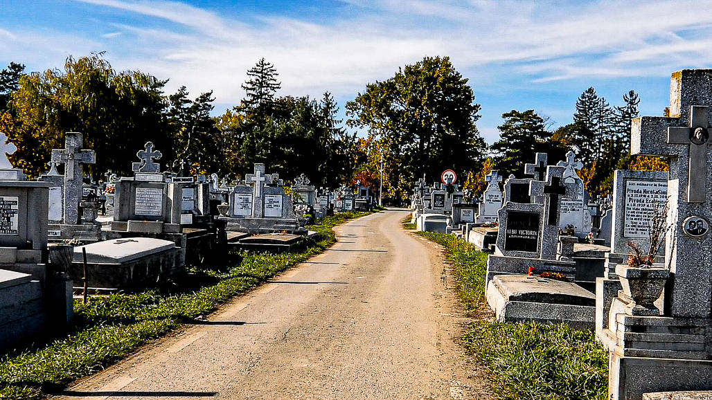 profanare de morminte în cimitirul municipal din sibiu - monumente funerare și cruci vandalizate