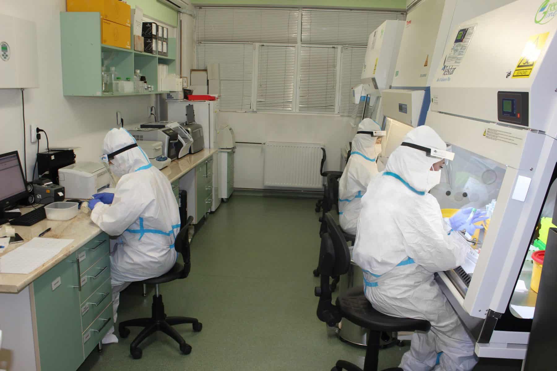 spitalul județean sibiu ieftinește testele pcr pentru depistarea coronavirusului