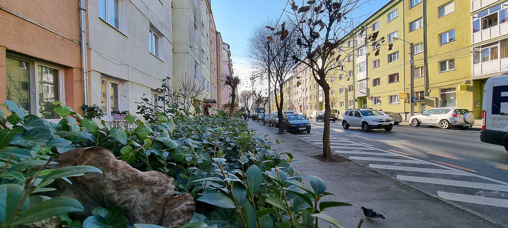 foto: strada din sibiu fără coșuri de gunoi - „nu există nici în stațiile de autobuz, nici în fața pieței, niciunde”