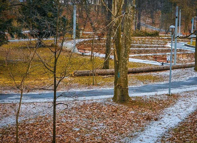 primii pași pentru modernizarea parcului sub arini - schimbări majore în cea mai populară ”oază” de verdeață a sibiului