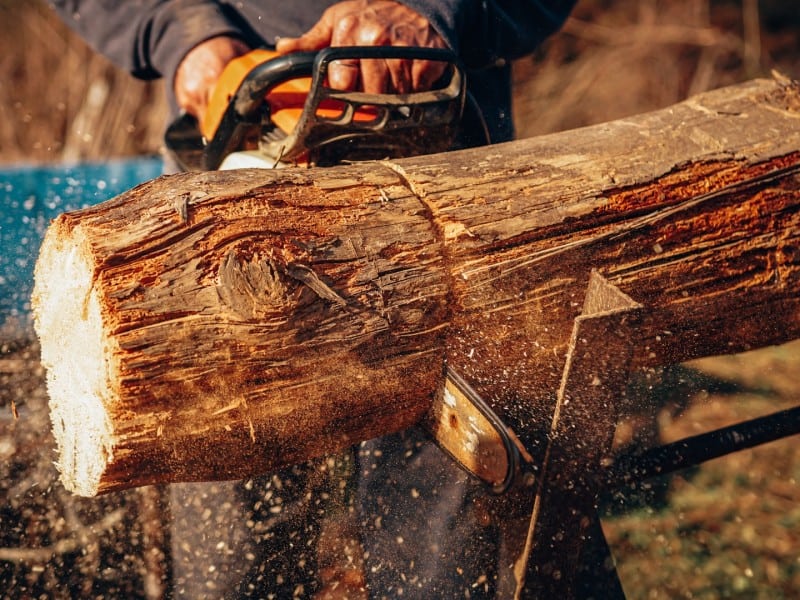 bărbat prins la furat de lemne în bârghiș – polițiștii i-au confiscat drujba și toporul