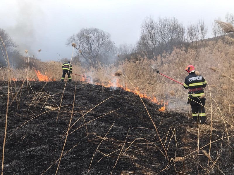 incendii de vegetație în mediaș - pompierii reamintesc sibienilor care sunt sancțiunile pentru arderile necontrolate