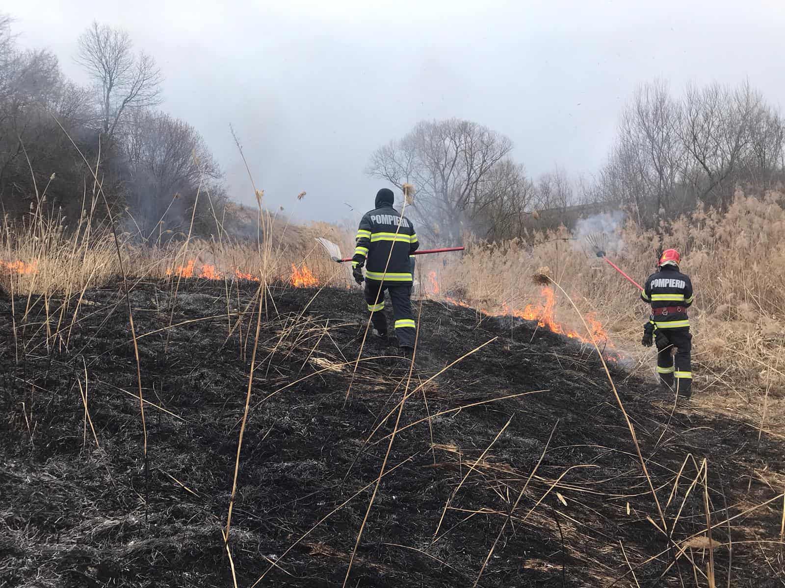 foto: incendiu de vegetație în apropiere de autostradă la amnaș