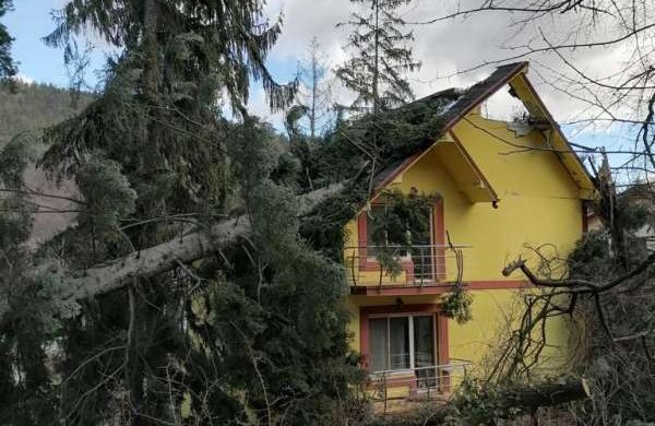 trafic deviat pe valea oltului după ce un copac a căzut peste o casă