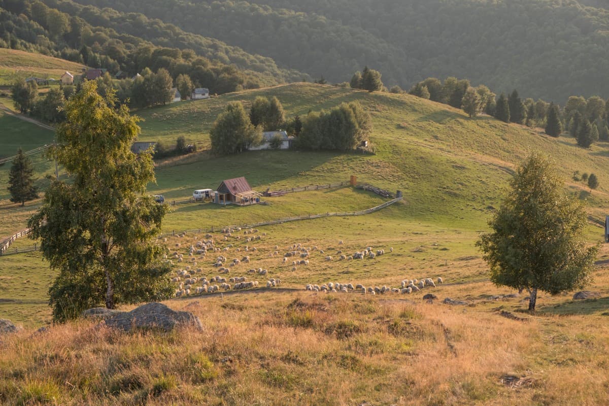 mărginimea sibiului tot mai atractivă pentru turiști - toți caută autenticitatea locală