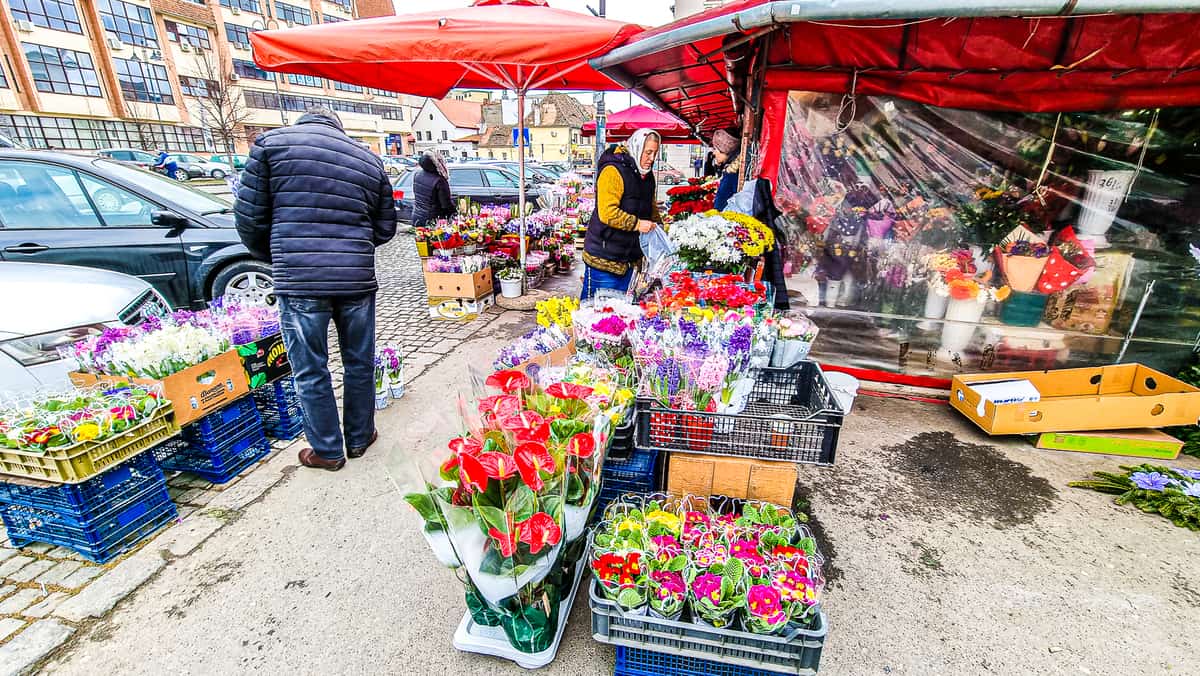 video prețuri ”înghețate” de 1 martie la flori și mărțișoare în sibiu – ”nu am scumpit, și așa nu cumpără lumea”