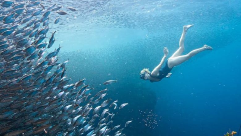 femeia care uimește tot mapamondul - coboară la 70 de metri sub apă fără tub de oxigen
