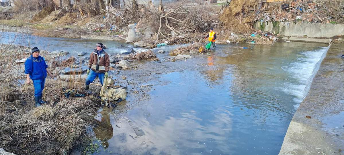 foto: râul avrig, sufocat de gunoaie - primăria promite că va aplica amenzi usturătoare