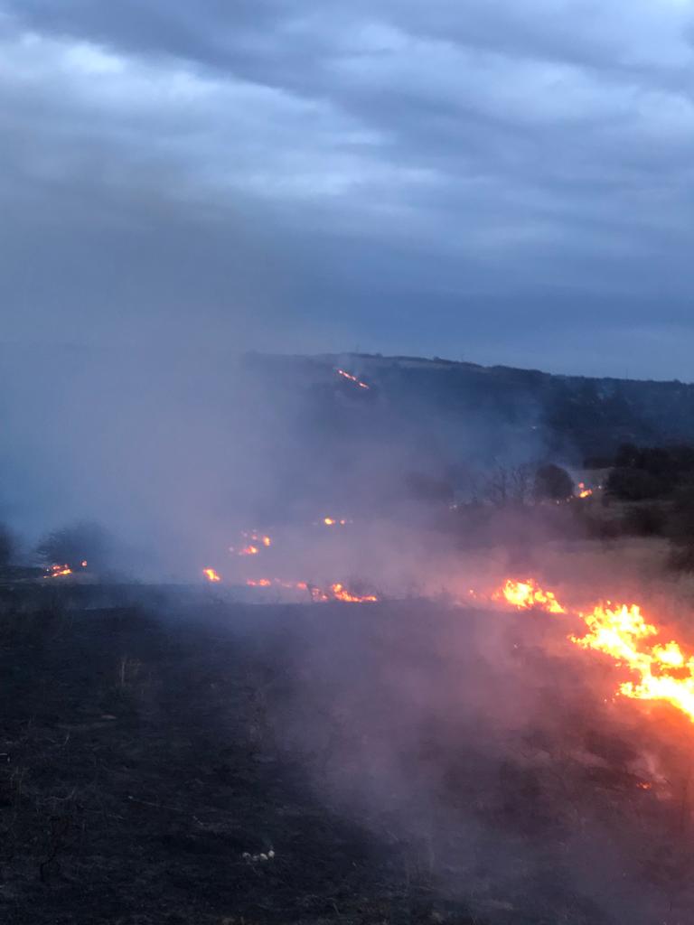 UPDATE FOTO Incendiu la Ludoș - Ard 30 de hectare de vegetație uscată