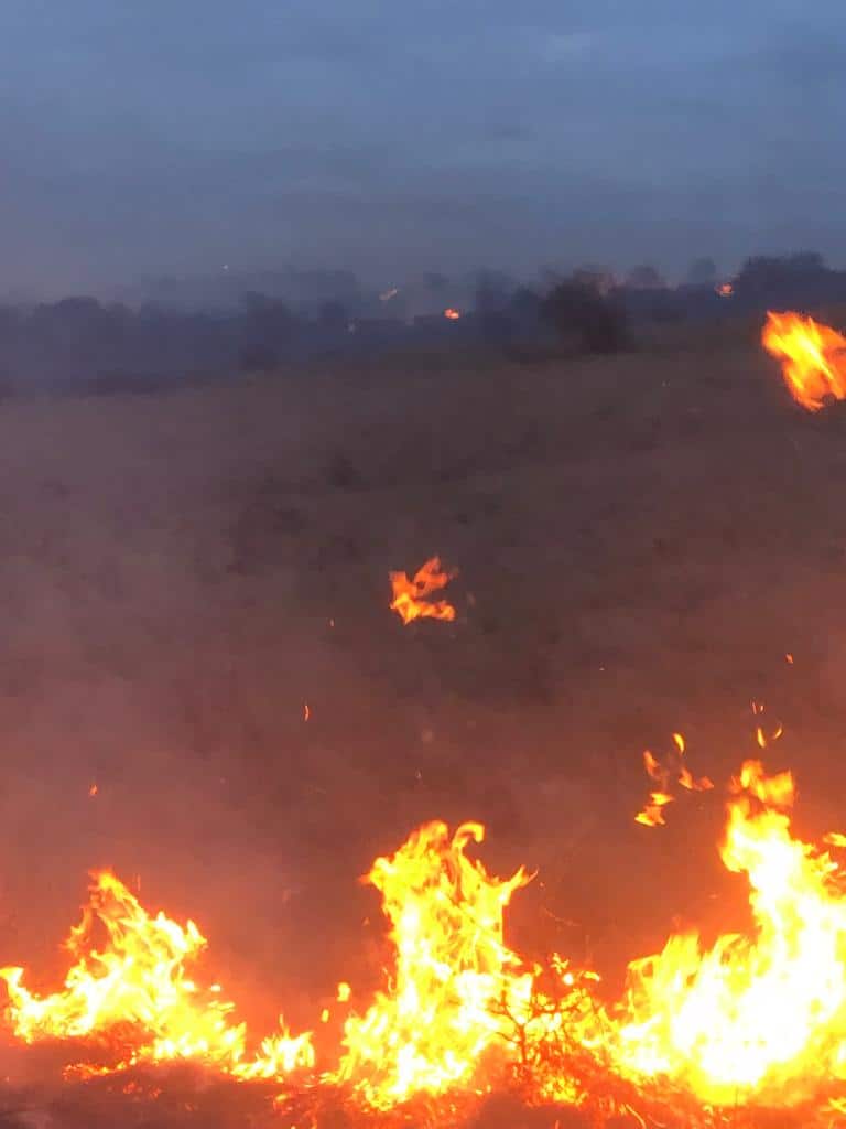 UPDATE FOTO Incendiu la Ludoș - Ard 30 de hectare de vegetație uscată