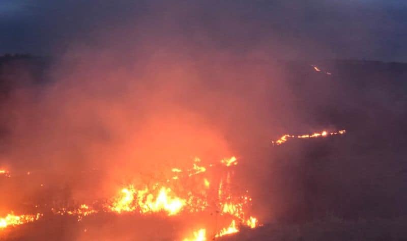 UPDATE FOTO Incendiu la Ludoș - Ard 30 de hectare de vegetație uscată