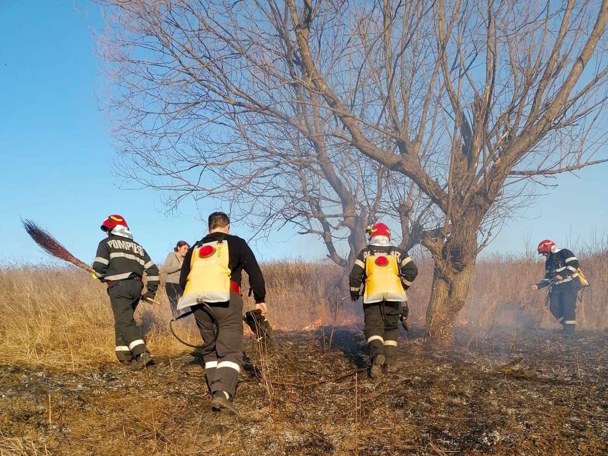 update video: incendii de vegetație pe dealul gușteriței, pe calea șurii mici și în alte 13 localități