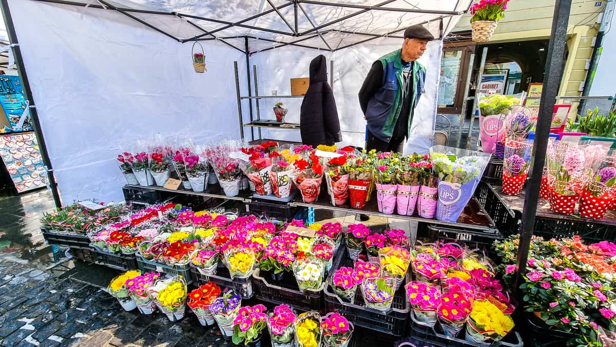 VIDEO Goana după cadoul de 8 martie la Sibiu - Florile, cele mai “vânate” de sibieni