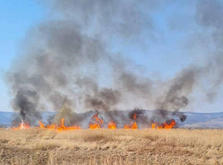cinci incendii de vegetație în ultimele 24 de ore la nivelul județului sibiu