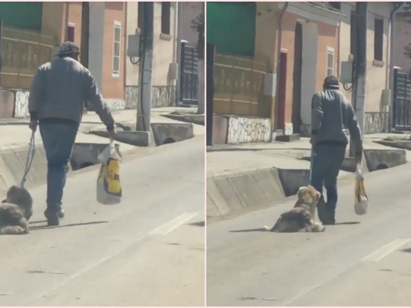 video: sibian filmat când schingiuia cinci câini în ighișul nou. pe unul l-a târât pe stradă