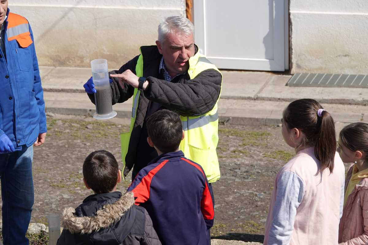 foto - ziua mondiala a apei sărbătorită la sibiu cu elevi din mai multe școli din județ