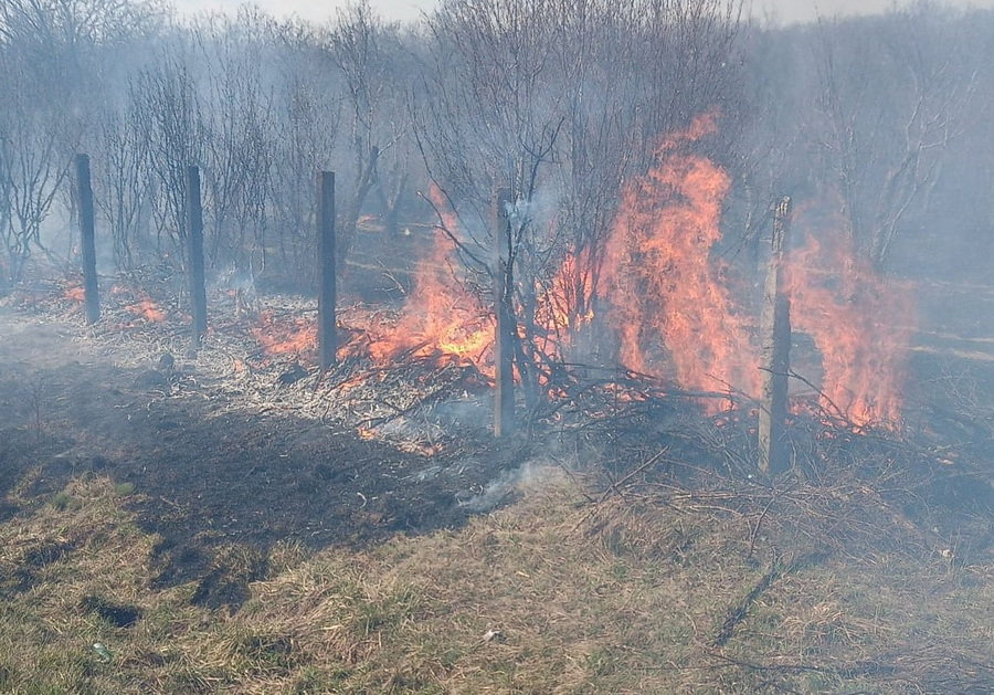 bărbat găsit carbonizat în urma unui incendiu de vegetație în bihor - avertisment de la isu sibiu
