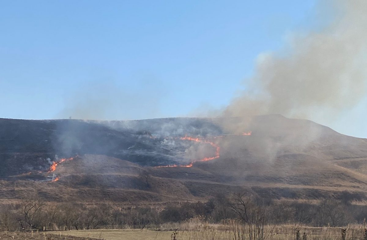 update video: incendii de vegetație pe dealul gușteriței, pe calea șurii mici și în alte 13 localități