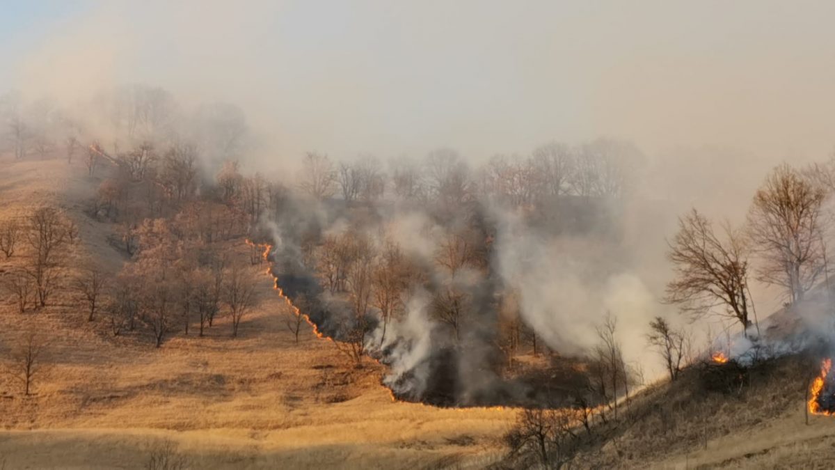 douăzeci de incendii de vegetație într-o zi - un saivan din mediaș și o cabană din agârbiciu, mistuite de flăcări