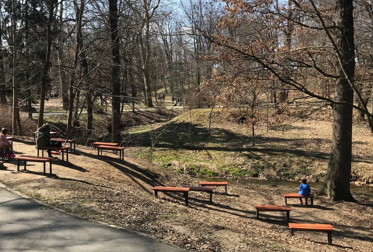 parcul sub arini, fără arini - „au dispărut 197 de arbori în ultimii 25 de ani”