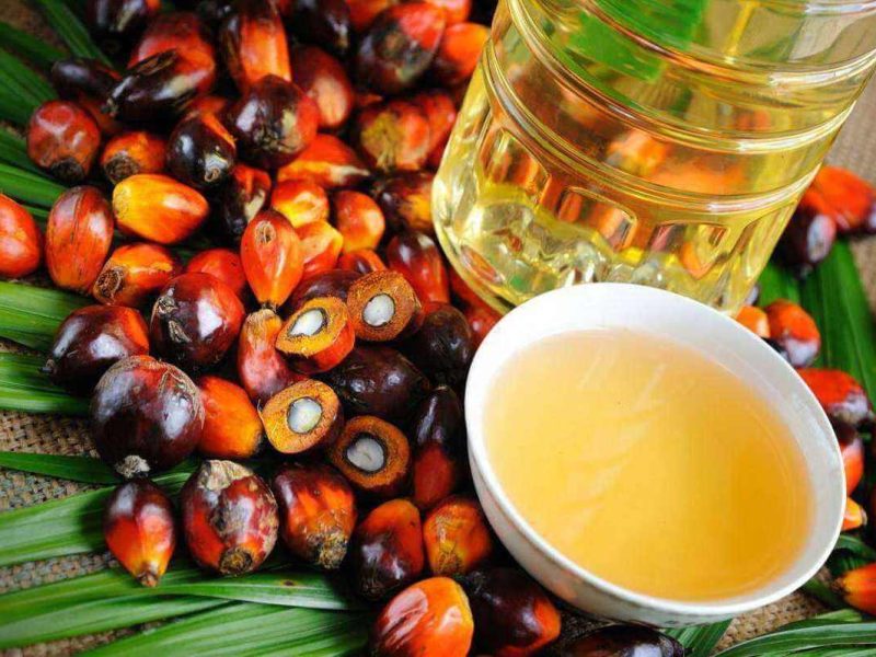 exportul de ulei de palmier, interzis in indonezia din cauza creșterii preturilor la alimente