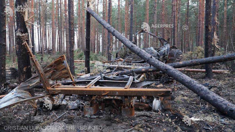 foto cum arată pădurea norka - locul în care ruşii au plănuit atacurile din bucea, irpin şi borodeanka