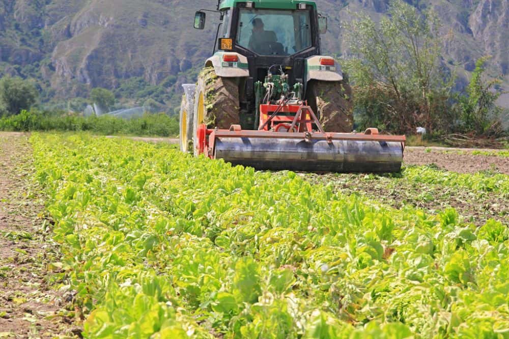 probleme în agricultură din cauza pesticidelor - o nouă taxă ar putea intra în vigoare