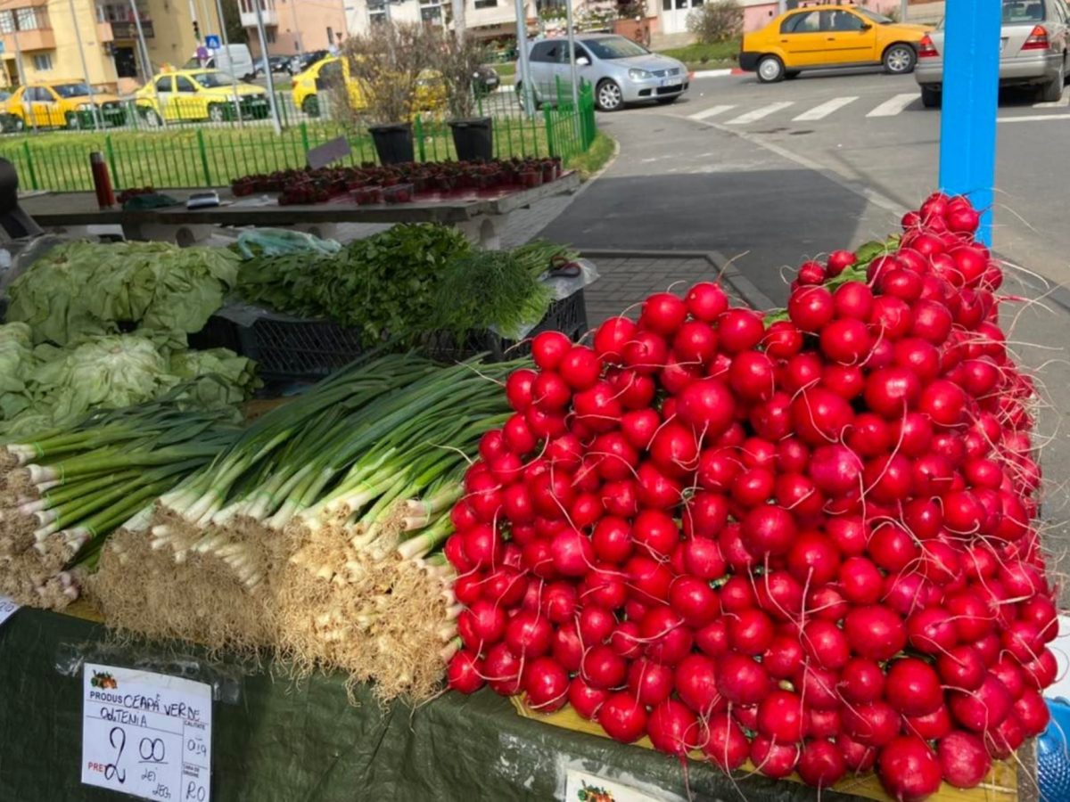 piețele din sibiu sunt pline de culoare - prima recoltă de roșii și castraveți românești a ajuns în piața rahova