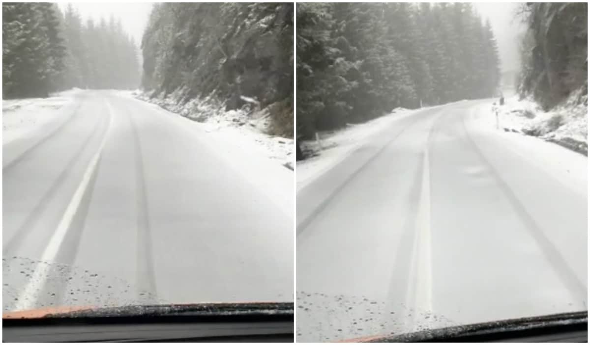 video: s-a întors iarna - ninsori abundente în centrul țării, pe transfăgărășan și la păltiniș