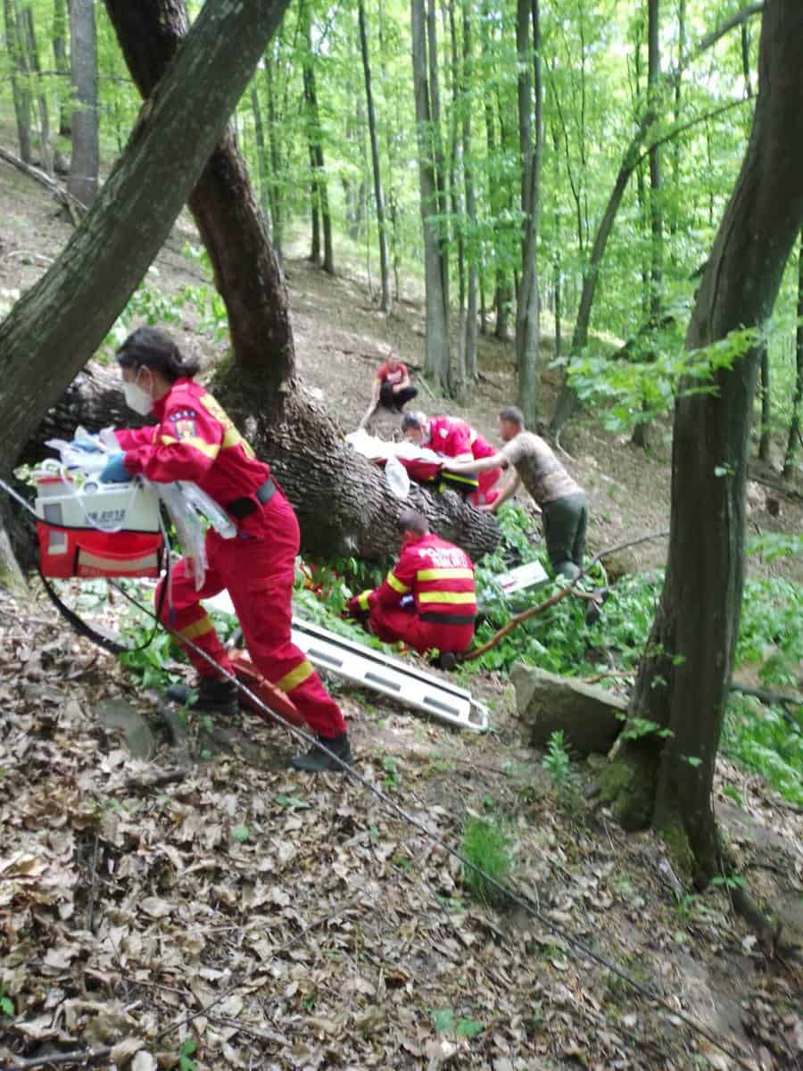 foto bărbat din jina mort după ce a căzut un copac peste el