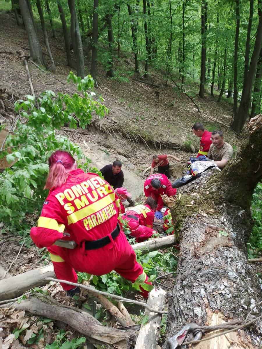 foto bărbat din jina mort după ce a căzut un copac peste el