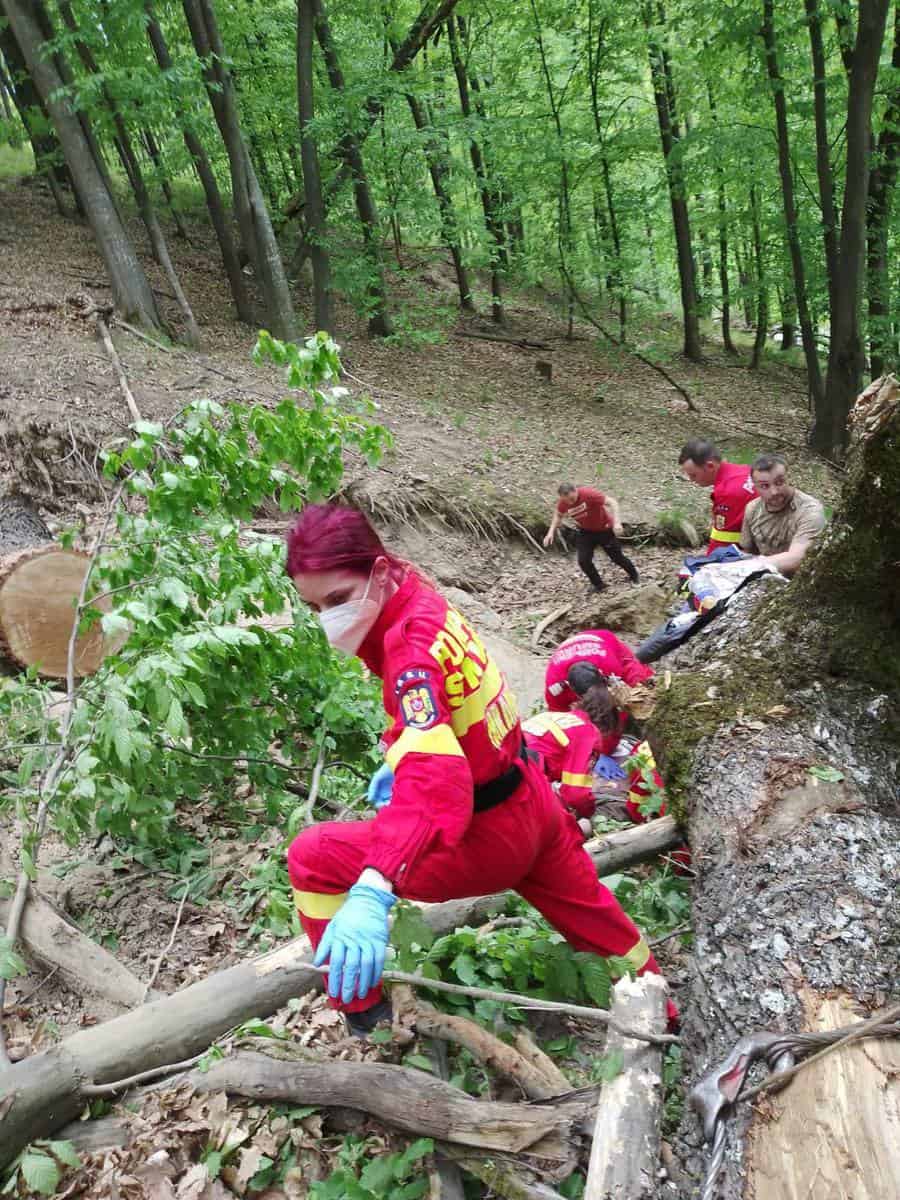 foto bărbat din jina mort după ce a căzut un copac peste el