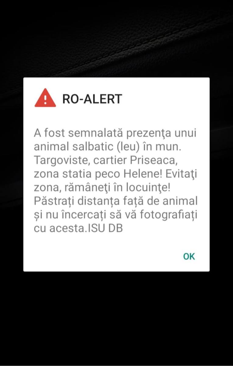 un leu circulă liber pe străzile din târgoviște - oamenii anunțați prin ro-alert