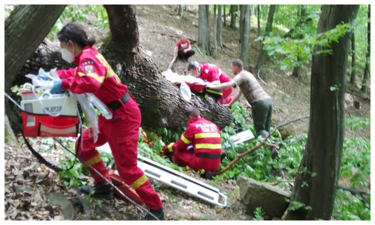 foto bărbat din jina mort după ce a căzut un copac peste el