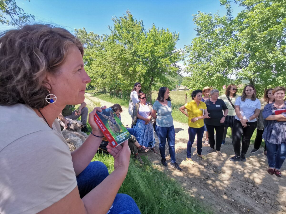 cadre didactice şi ghizi de turism învaţă metode creative de explorare responsabilă a naturii