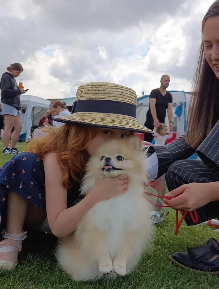 video foto concursul de frumusețe pentru câini, la sibiu