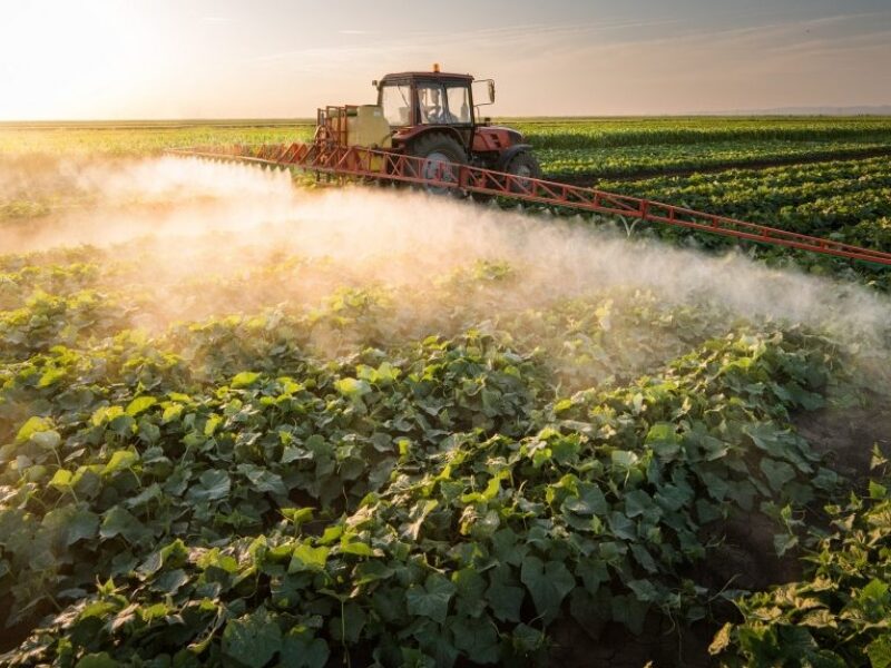 fermierii trebuie să reducă cu 35 la sută consumul de pesticide până în 2035