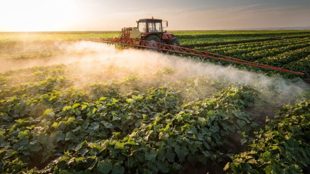 fermierii trebuie să reducă cu 35 la sută consumul de pesticide până în 2035