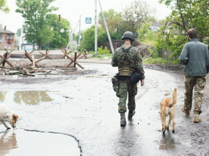 militarii ruși au rămas fără hrană în ucraina - ”mâncăm câini, azi am mâncat un yorkshire terrier”
