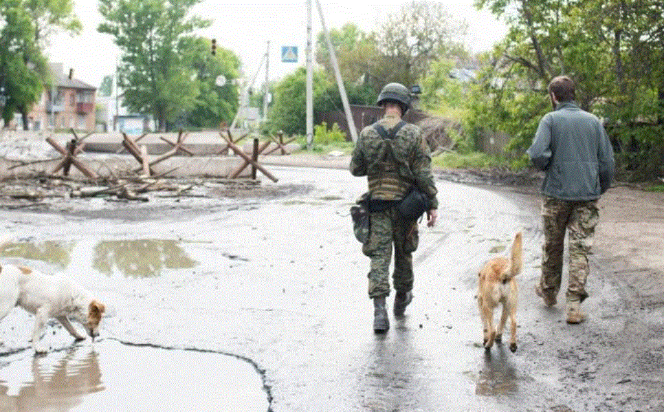 militarii ruși au rămas fără hrană în ucraina - ”mâncăm câini, azi am mâncat un yorkshire terrier”