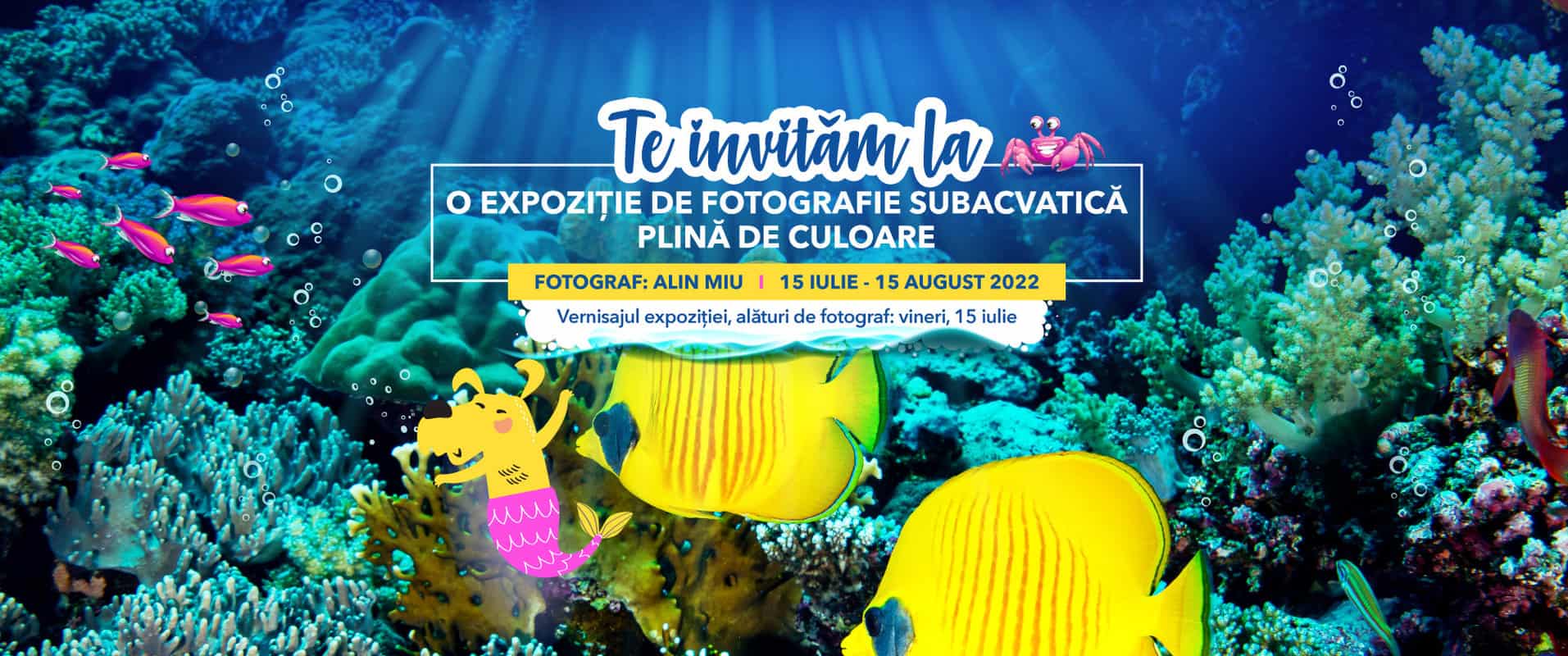 shopping city sibiu aduce la suprafață minunata lume a oceanului printr-o expoziție de fotografie unică în regiune